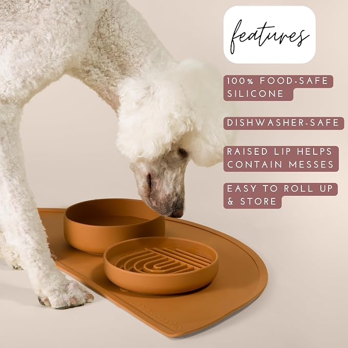 Should We Go -Waterproof Silicone Pet Food Mat - Image 3