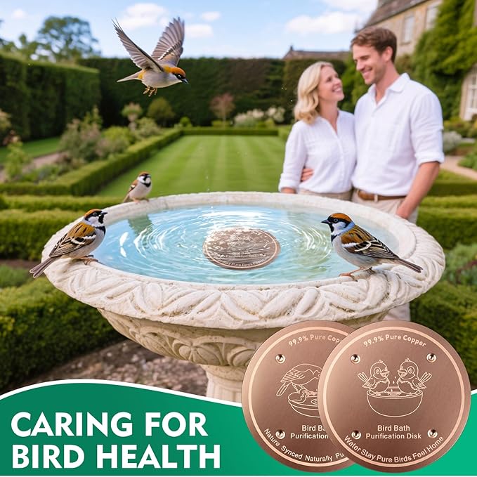 1 Pcs Copper Disc for Bird Bath | 99.99% Pure Copper Plate & Birdbath Disk | - Image 7