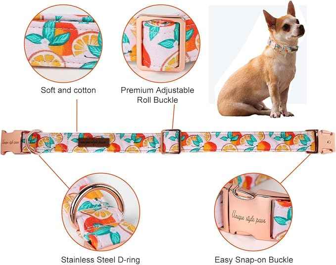 Unique style paws Dog Collar Metal Buckle Orange Collar Gift Durable Cute Collar