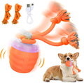 Interactive Dog Toy, Motion Activated Rolling Squeaky Ball by Huimpet