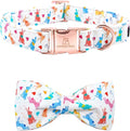Lionheart glory Easter Dog Collar by LionheartGlory