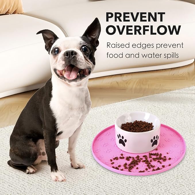 Silicone Pet Food Mat - Image 3
