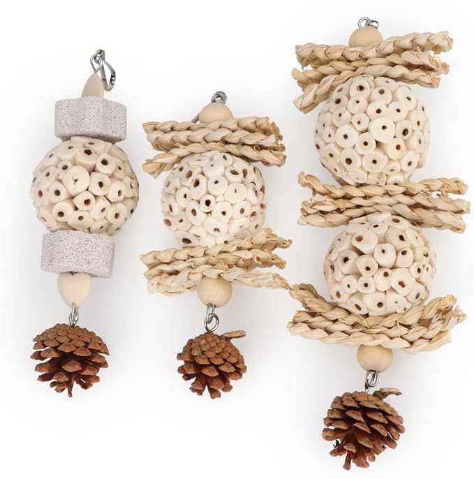 Wontee Bird Toys 3 Pack Parrot Foraging Hanging Toys Sola Ball Natural Nuts - Image 7