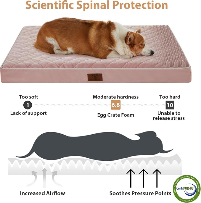 WNPETHOME Orthopedic XXL Dog Beds Large Sized Dog, Waterproof Extra Large Dogs - Image 3
