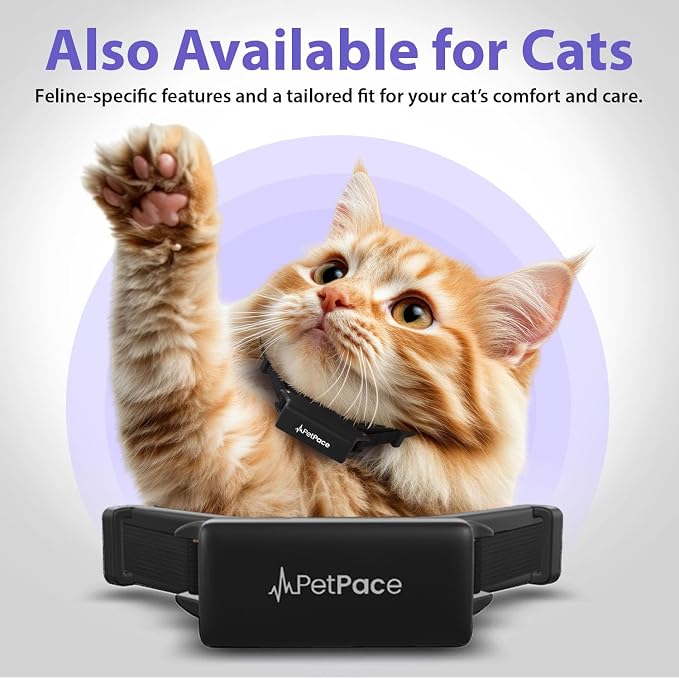 NEW Dog Health Monitor V3.0 by PetPace – AI Smart Collar - Image 9