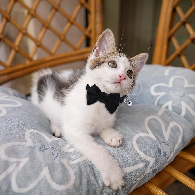 2 Pcs Velvet Cat Collar Cute Cat Bow Tie Collar Adjustable Breakaway Collars - Image 5