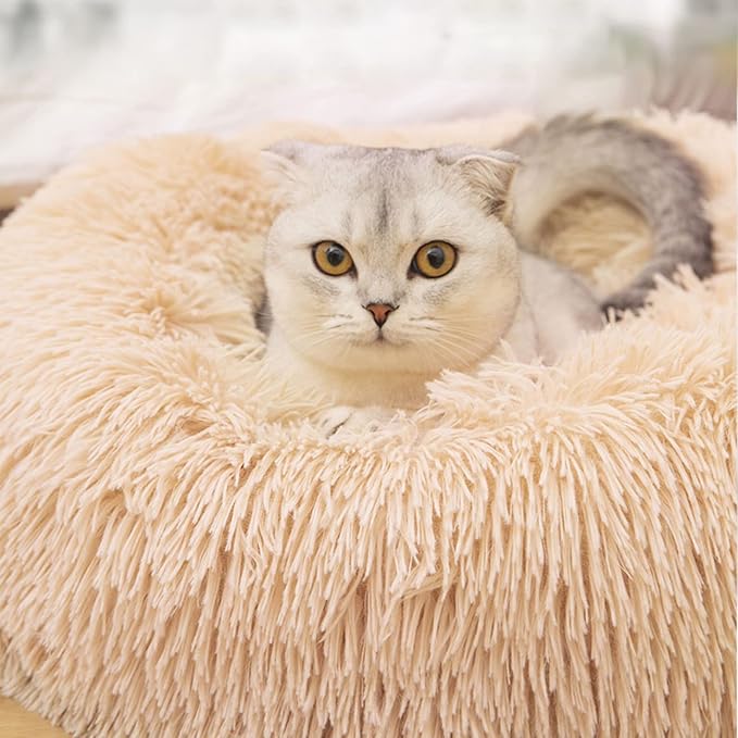 Nisrada Cat Beds for Indoor Cats, 20 Inch Dog Bed for Small Melium Large Dogs - Image 4