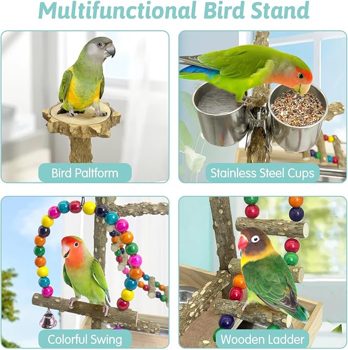 PINVNBY Bird Playground Natural Wood Bird Play Stand - Image 6
