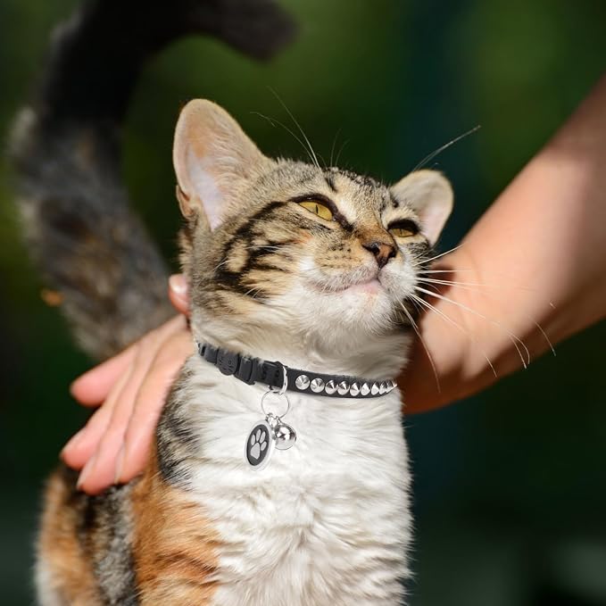 Leather Personalized Breakaway Cat Collar - Image 2