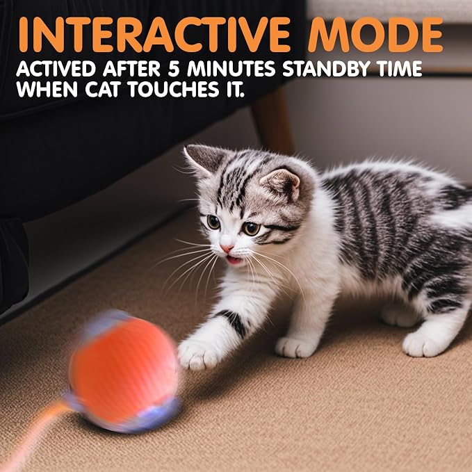 Rocfish Durable Interactive Cat Toys - Image 6