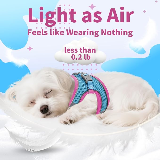 AIITLE Comfortable Dog Harness and Leash Set - Image 8