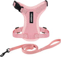 Voyager Escape-Proof Step-in Lock Cat Harness & 5ft Neoprene-Handle Leash Set by BestPetSuppliesLLC