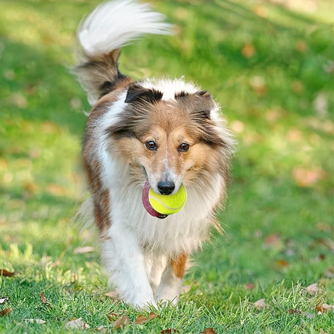 6 Pack Mini Tennis Balls for Pet Playing Fecth, 2 inch Dogs Training Tennis - Image 4