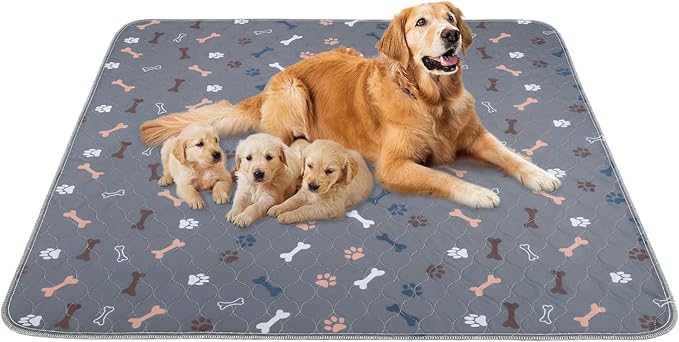 Washable Pee Pads for Dogs, 2 Pack 48"x60" Reusable Puppy Training Pads by Baodan