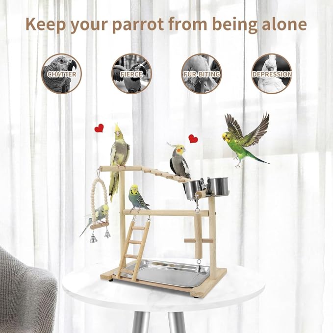 Bird Playground, Playstand for Parrot Cage Accessories - Image 3