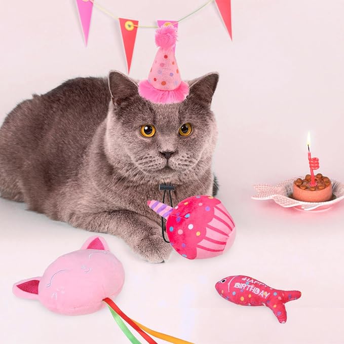 BINGPET Cat Birthday Catnip Toys - Image 6