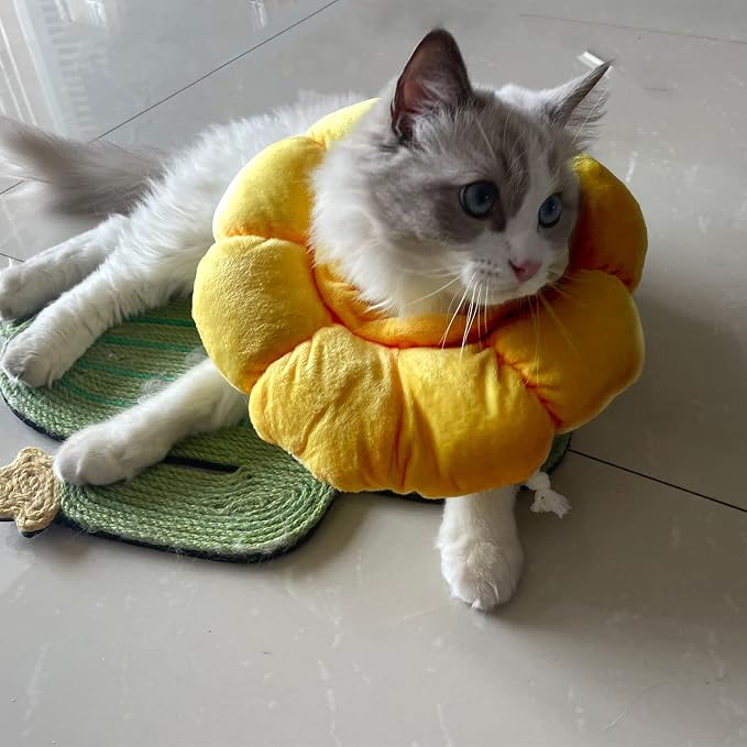 KUDES Cat Small Dog Recovery Collar, Cute Sunflower Neck Cone After Surgery - Image 4