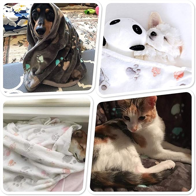Allisandro 350 GSM-Super Soft and Premium Fuzzy Flannel Fleece Pet Dog Blanket - Image 8
