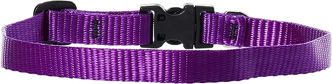 LupinePet Basics 1/2" Purple 10-16" Adjustable Collar - Image 2
