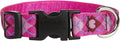 LupinePet 3/4-Inch Puppy Love 13-22-Inch Adjustable Dog Collar by LupinePet
