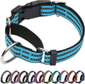 Martingale Dog Collar, Adjustable Nylon Reflective Collar by JOYEEIIOO