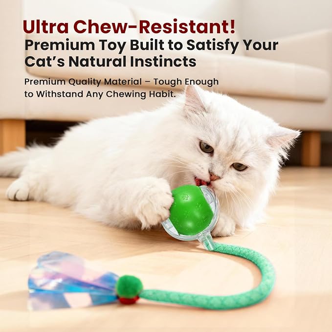 Rocfish Interactive Cat Toy for Indoor Cat, Smart Automatic Cat Chase Ball Toy - Image 5