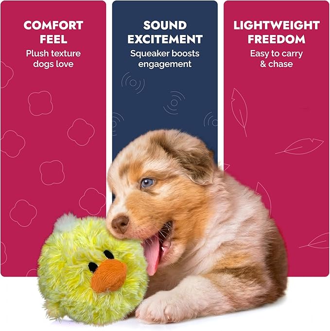 Pet Lou DOG'Z 4 Inch EZ Squeaky Chick Dog Plush Toy, Stuffing-Free Soft Plush - Image 3