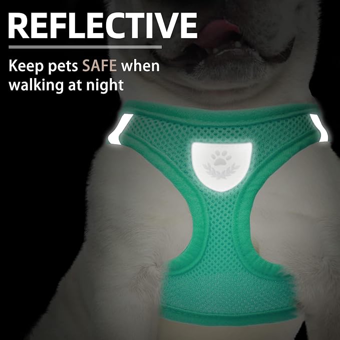 PUPTECK Adjustable Dog Harness Collar and Leash Set Step in No Pull Pet Harness - Image 4
