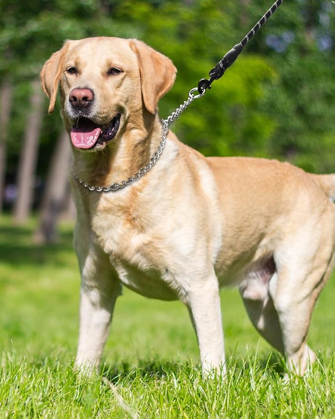 TagME Chain Choke Collar for Dogs, Adjustable Weather Proof Necklace for Medium - Image 6