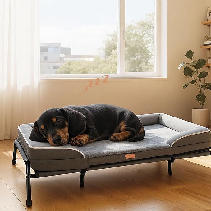 Lekereise Raised Dog Bed for Small Dog 32x25 Inch, Comfortable Orthopedic Pet by Lekereise