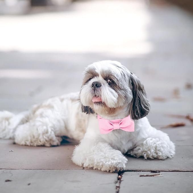 Segarty Dog Bow Tie Collar, Adjustable Pink Bowtie - Image 6