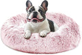 JOLLYVOGUE Calming Dog Bed Medium Size Dog, Anti-Anxiety Donut Medium Pet Bed by JOLLYVOGUE