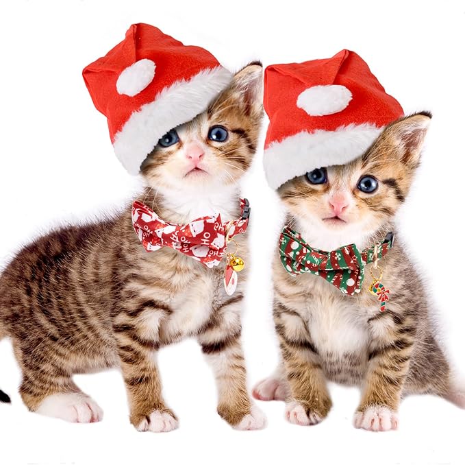 Faygarsle 2 Pack Christmas Cat Collars - Image 6