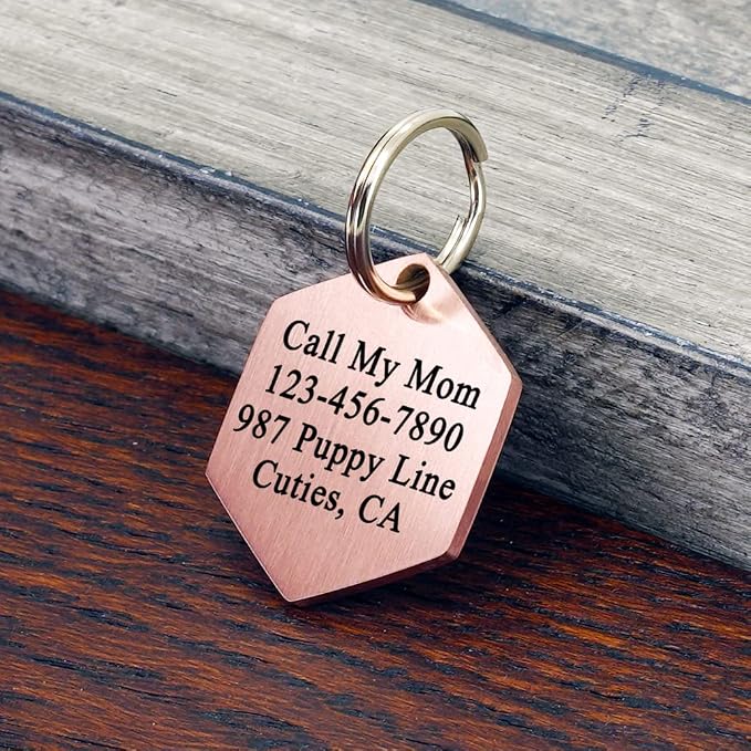 Ultra Joys Personalized Hexagon Dog Tag - Image 3