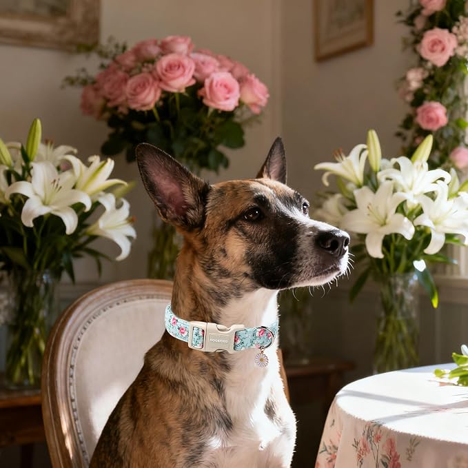 DOGWONG Floral Dog Collar, Cute Adjustable Flower Collar, Girl Female Dog Collar - Image 4