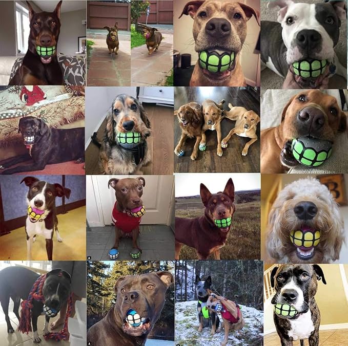 Dog Balls Toys - Squeaky Fetch Rubber Funny Ball Gifts - Image 4