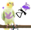Dnoifne Pet Parrot Bird Harness and Leash, Adjustable Training Design Anti-Bite by Dnoifne