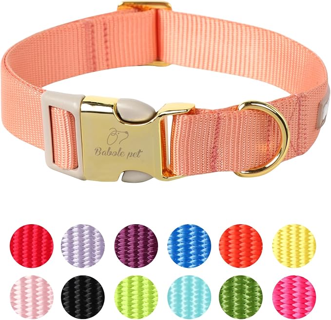 Nylon Dog Collar by Babolepet
