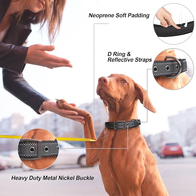 PetiFine Dog Collars for Small Dogs, Neoprene Padded Dog Collar, Reflective - Image 2