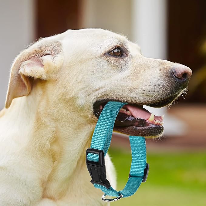 Amylove 27 Pcs Dog Collar Bulk Adjustable Nylon Puppy Collar - Image 5