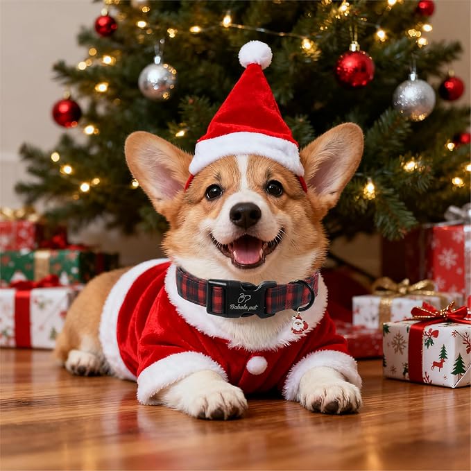 Christmas Dog Collar for Puppy Small Dogs - Image 2