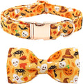 Halloween Dog Collar, Pet Collar Bow Fall Puppy Collar Girl Boy Holiday Pet by BoboRainbow