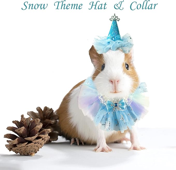 Small Animal Birthday Princess Costume - Image 7