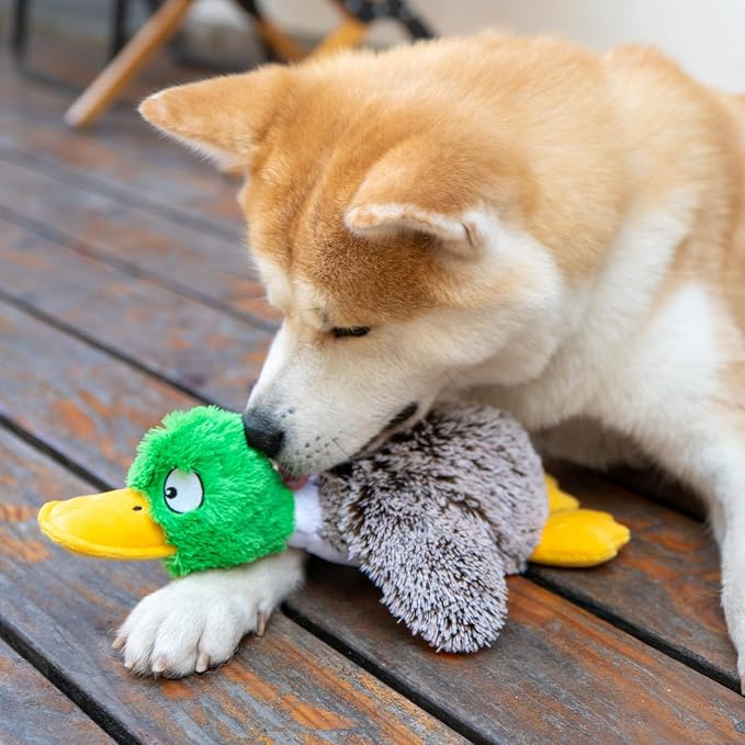 Best Pet Supplies Interactive Squeaky Dog Chew Toy, Ideal Dog Toys - Image 6