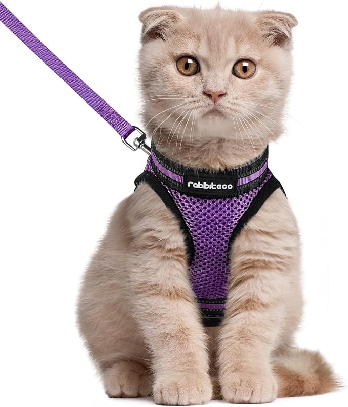 rabbitgoo Cat Harness and Leash Set by rabbitgoo