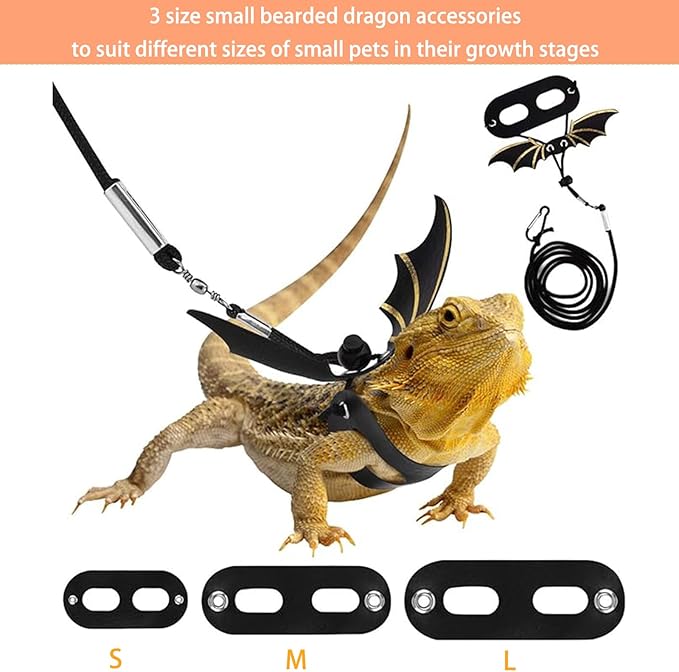 Bearded Dragon Carrier with Harness and Leash Set Large Small Animal Carrier - Image 4