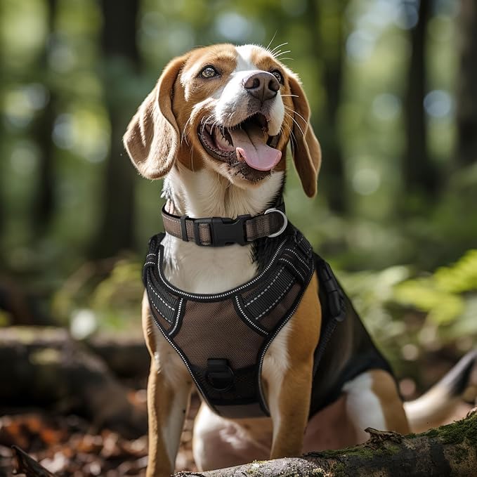 Joytale Reflective Dog Collar, Soft Neoprene Padded, Metal D-Ring, Nylon Pet - Image 2
