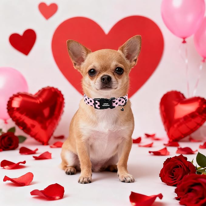Unique Style Paws Valentine Dog Collar Plastic Buckle - Image 5