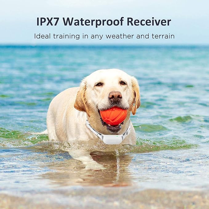 PATPET Dog Training Collar - Image 7