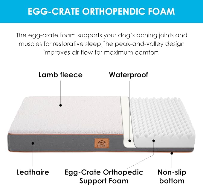 Orthopedic Dog Bed for Large Dogs and Extra Large Dogs, XL Dog Bed - Image 2